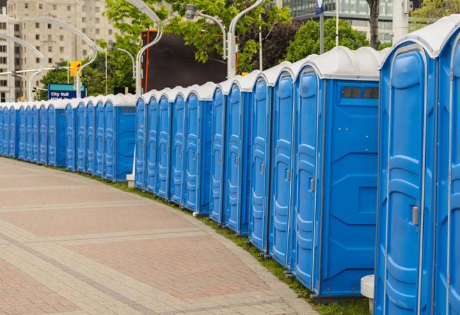 Seasonal porta potty units set up at a Delavan, Wisconsin venue